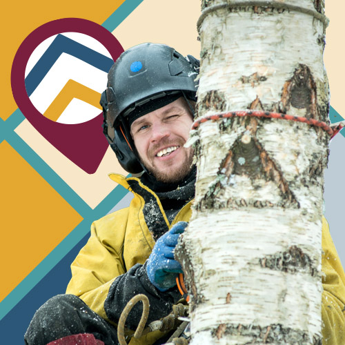 Arborist-Local-SEO