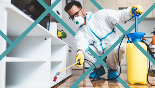 Pest-Control-Companies-Local-SEO