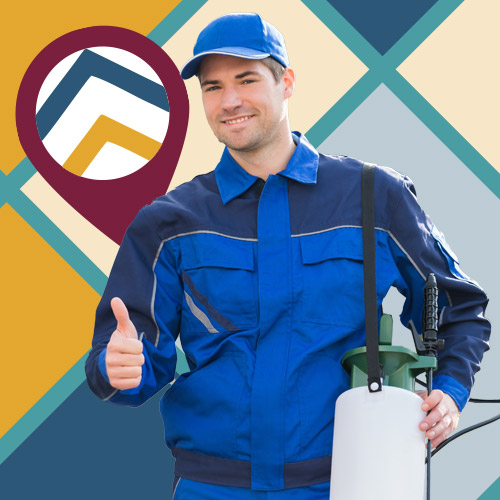 Pest-Control-Local-SEO